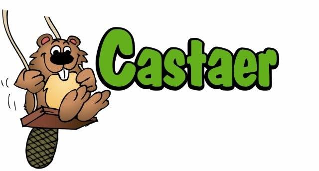 Castaer logo